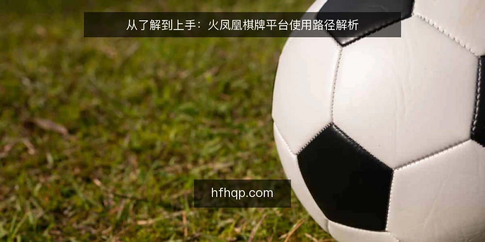从了解到上手:火凤凰棋牌平台使用路径解析 — 明确起点:先理清使用需求 配图